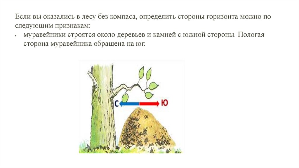 Их можно определить