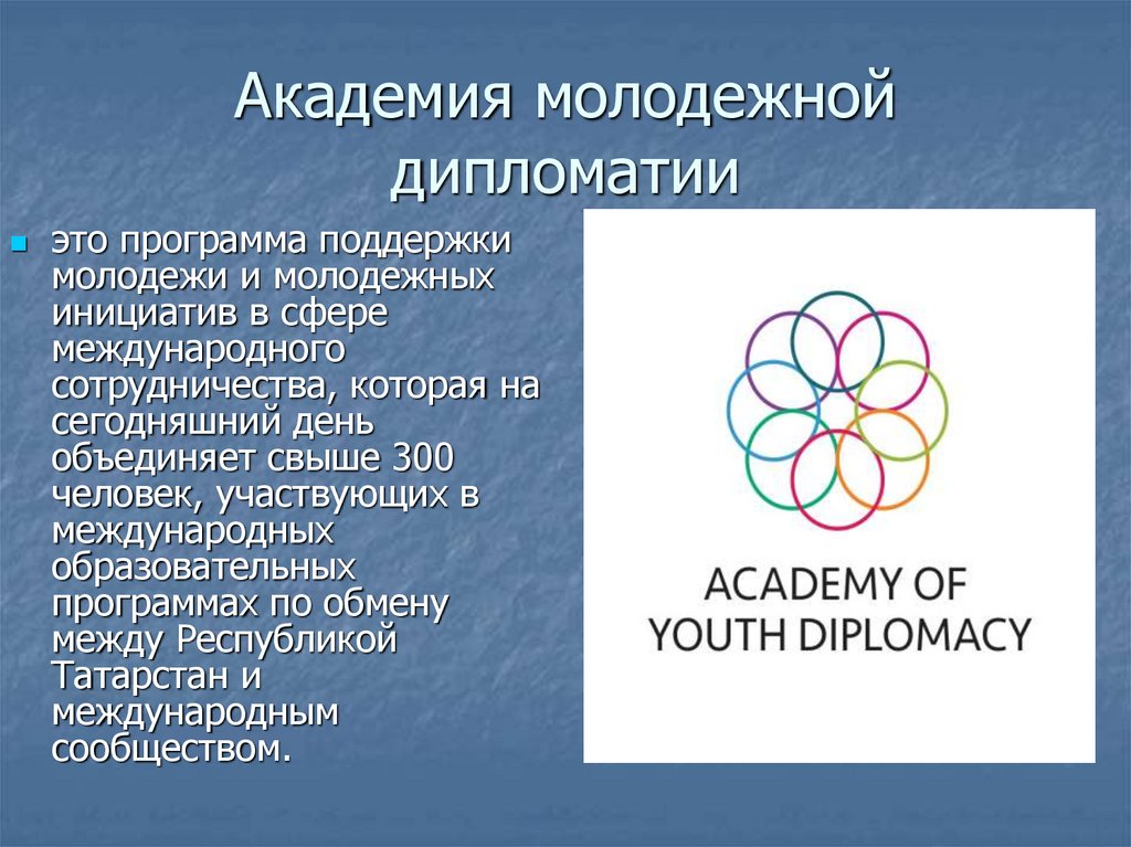 Академия молодежной дипломатии