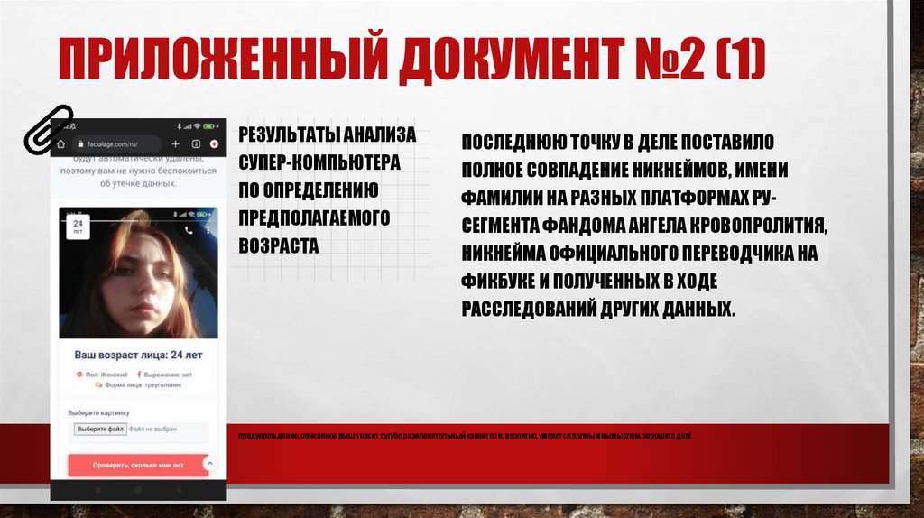 приложенный документ №2 (1)