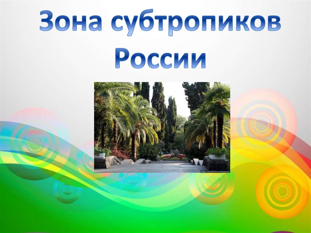 Субтропики экологические проблемы. Ландшафтный дизайн субтропики. Картинка субтропики часть Флориды.