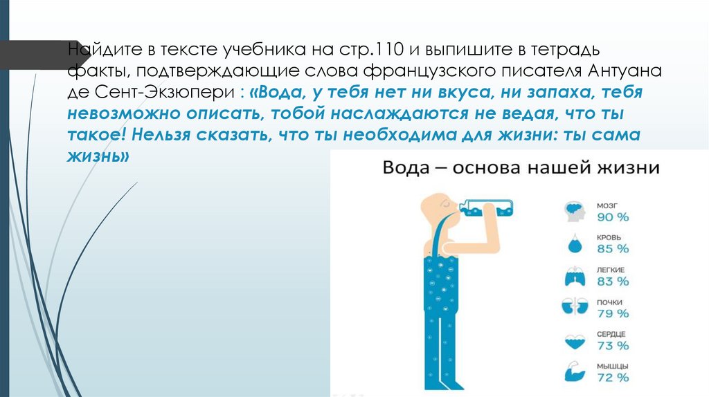 Найдите в тексте учебника на стр.110 и выпишите в тетрадь факты, подтверждающие слова французского писателя Антуана де