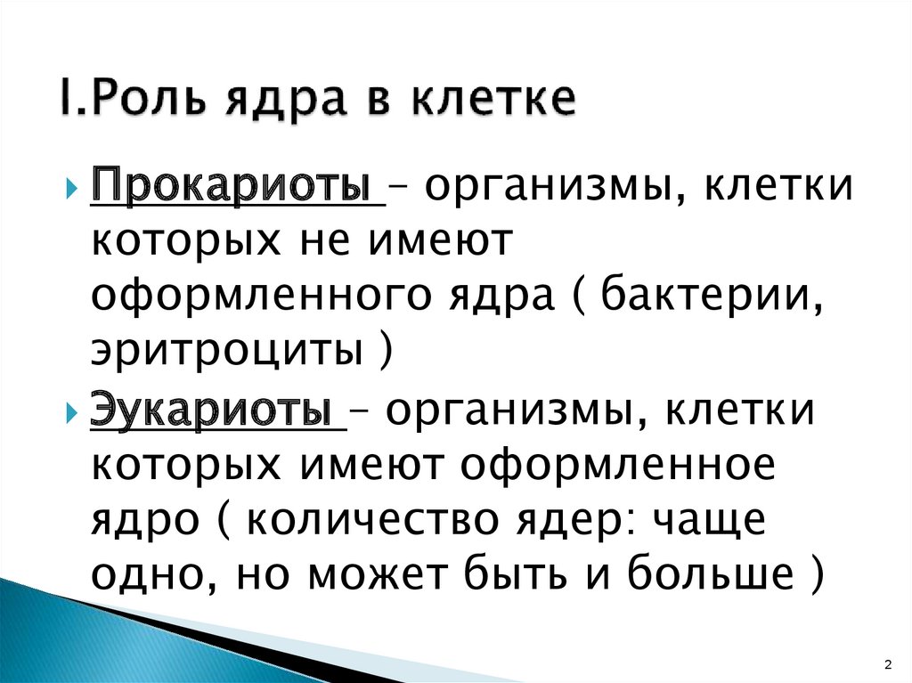 Какое значение ядра в жизнедеятельности клетки. Роль ядра в жизнедеятельности клетки.