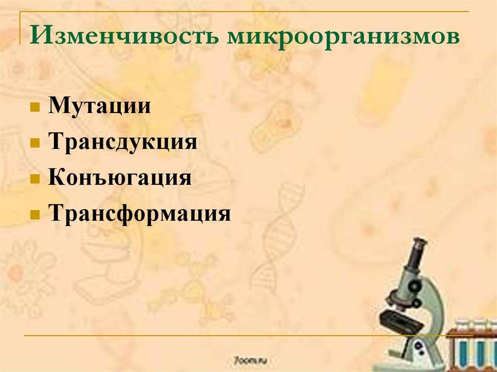 Изменчивость микроорганизмов