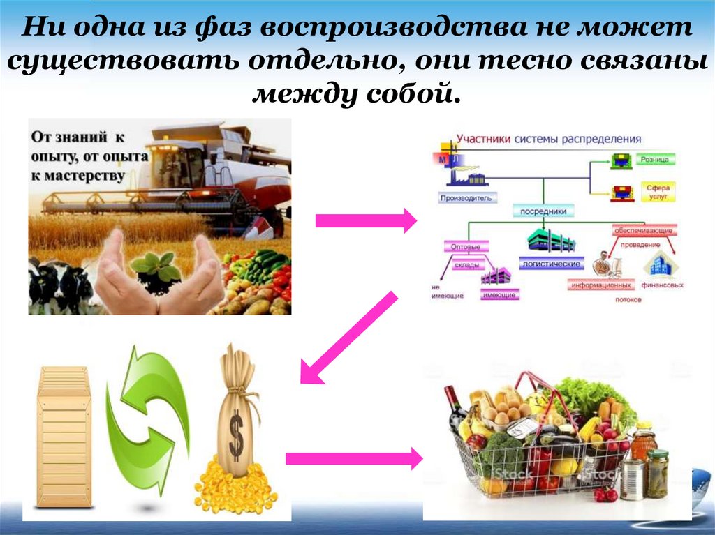 Как между собой связана экономика. Последовательность стадий воспроизводства блага такова:. Фазы воспроизводства. Производство как фаза воспроизводства есть. Отрасли экономики тесно связаны между собой.