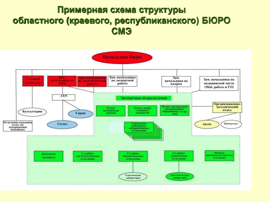 Инструкция краевых областных судов 161. Региональная структура схема. Схема структуры экспертной деятельности. Республиканское бюро судебно-медицинской экспертизы. Схема управления дефектологическим образованием.