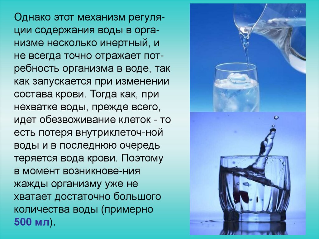 Минеральные вещества вода тест