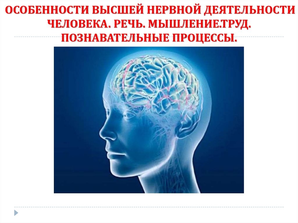 Особенности внд человека речь и сознание познавательные процессы 8 класс презентация