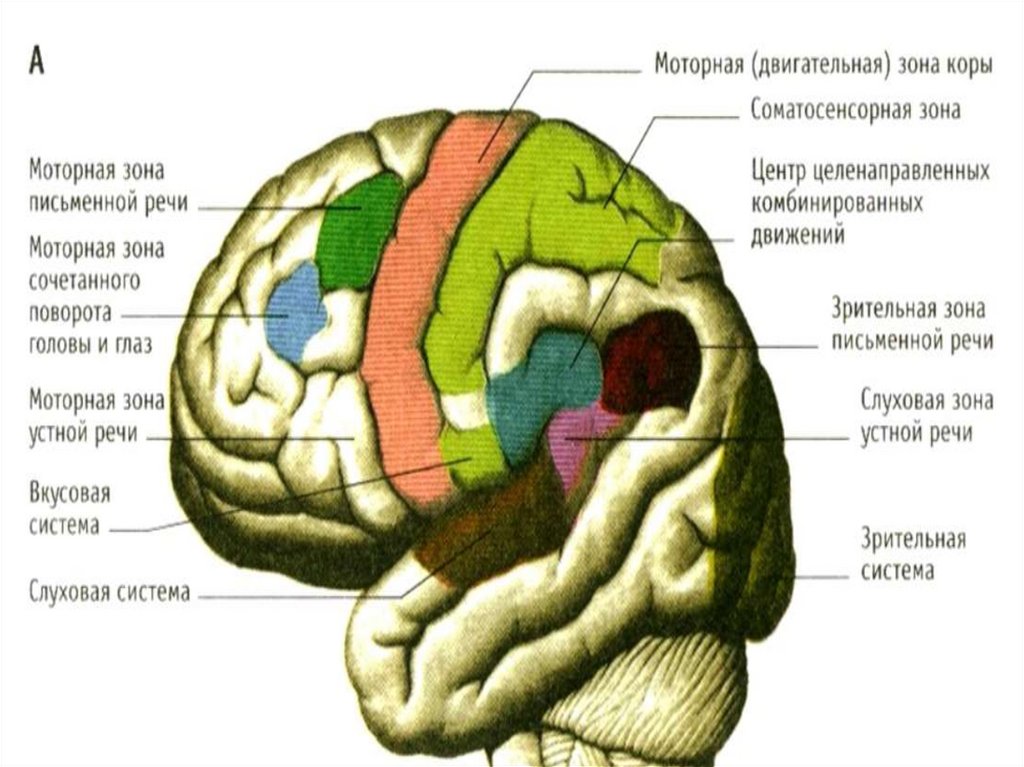 Пользуясь описанием определите какими цифрами на плане обозначены деревни демидово ключи