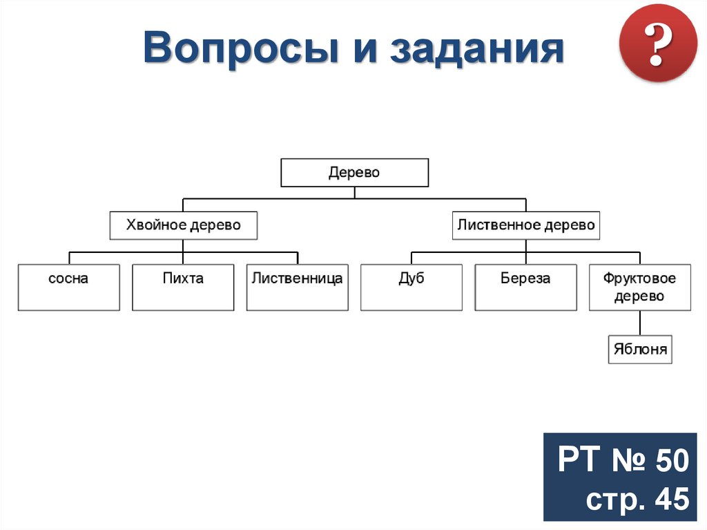 Объект разновидности. Классификация объектов Информатика. Схема разновидностей объектов. Разновидности объектов и их классификация. Схема классификация компьютерных объектов.