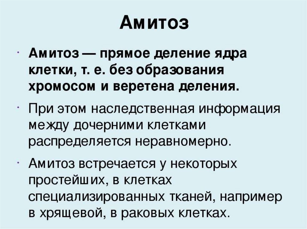 Деление амитозом. Амитоз. Амитоз кратко. Амитоз это в биологии. Деление клетки амитоз.