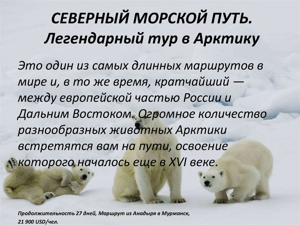 СЕВЕРНЫЙ МОРСКОЙ ПУТЬ. Легендарный тур в Арктику