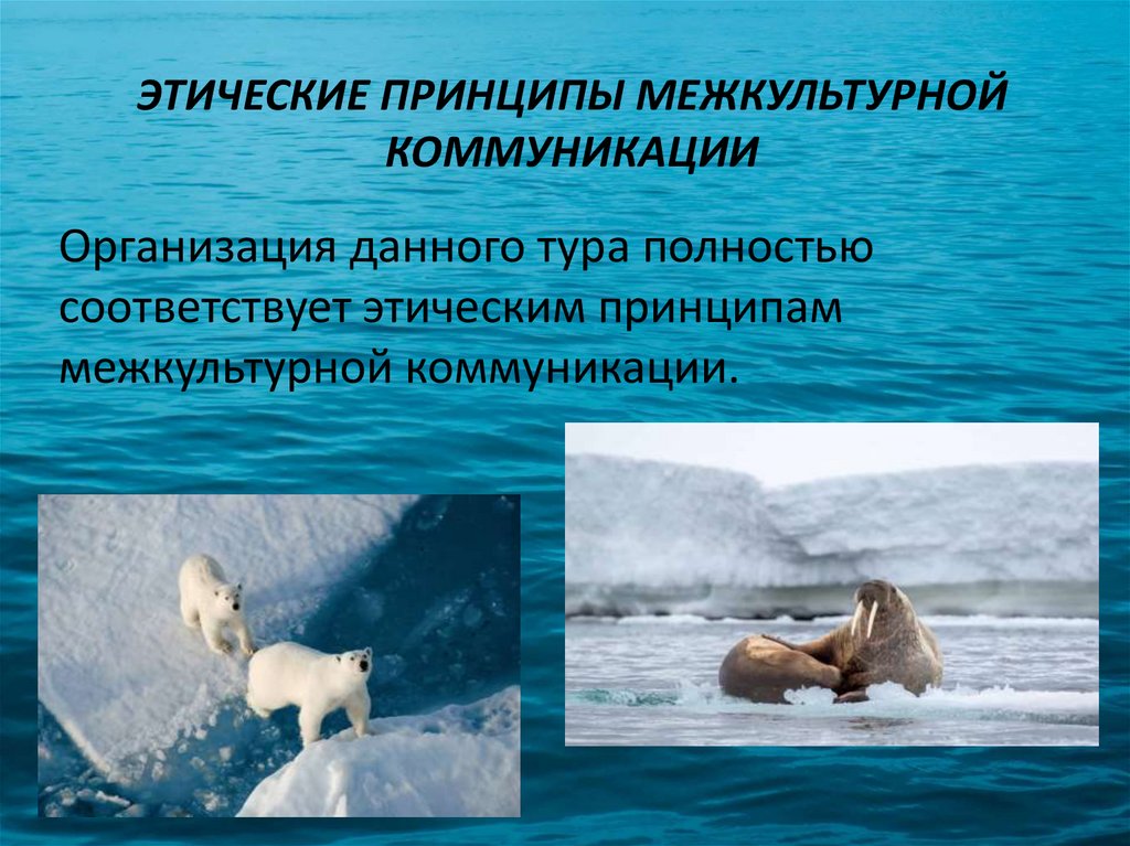 ЭТИЧЕСКИЕ ПРИНЦИПЫ МЕЖКУЛЬТУРНОЙ КОММУНИКАЦИИ