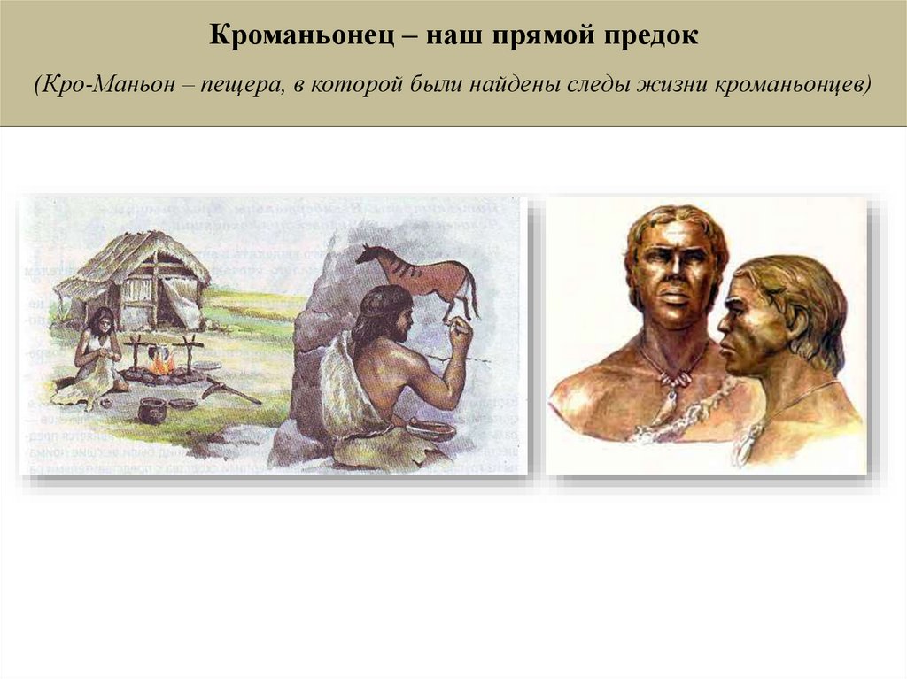 Кроманьонец – наш прямой предо - презентация онлайн
