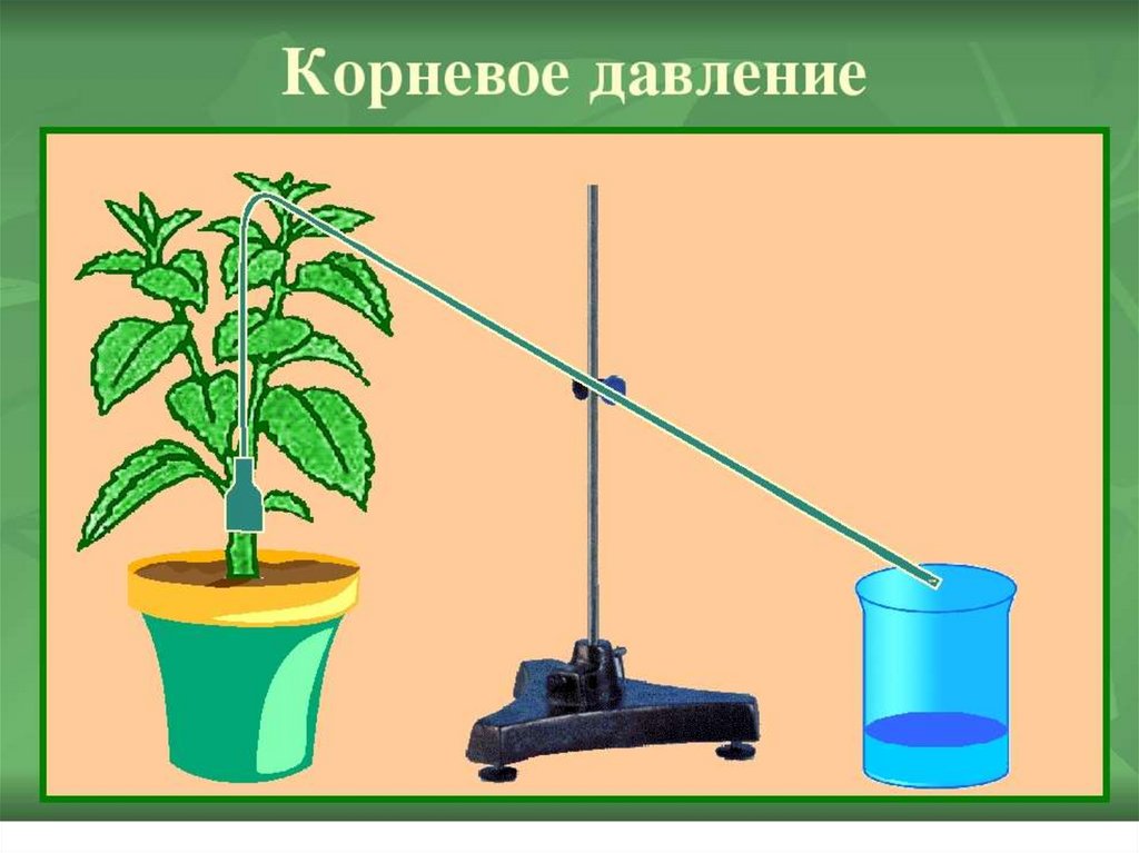 Рассмотрите рисунок что позволяет обнаружить данный опыт