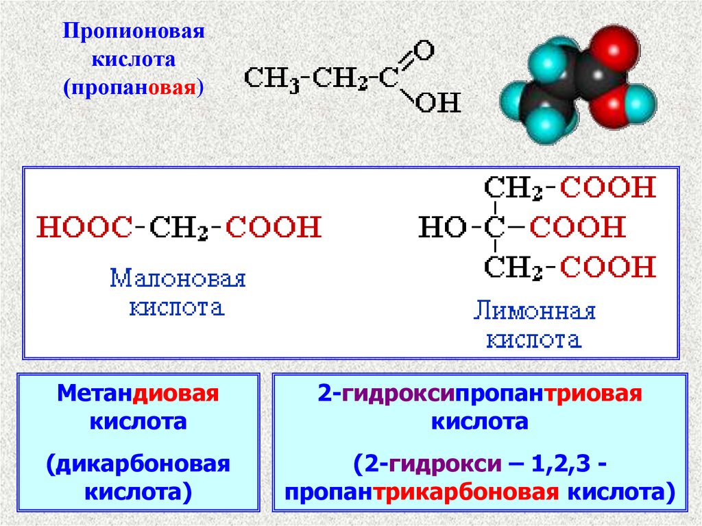 Три карбоновые кислоты. 2 Гидрокси 1 2 3 пропантрикарбоновая кислота. Пропионовая кислота +2cl2. 2-Гидрокси-3-пропионовая кислота. 2 Гидрокси пропановая кислота формула.