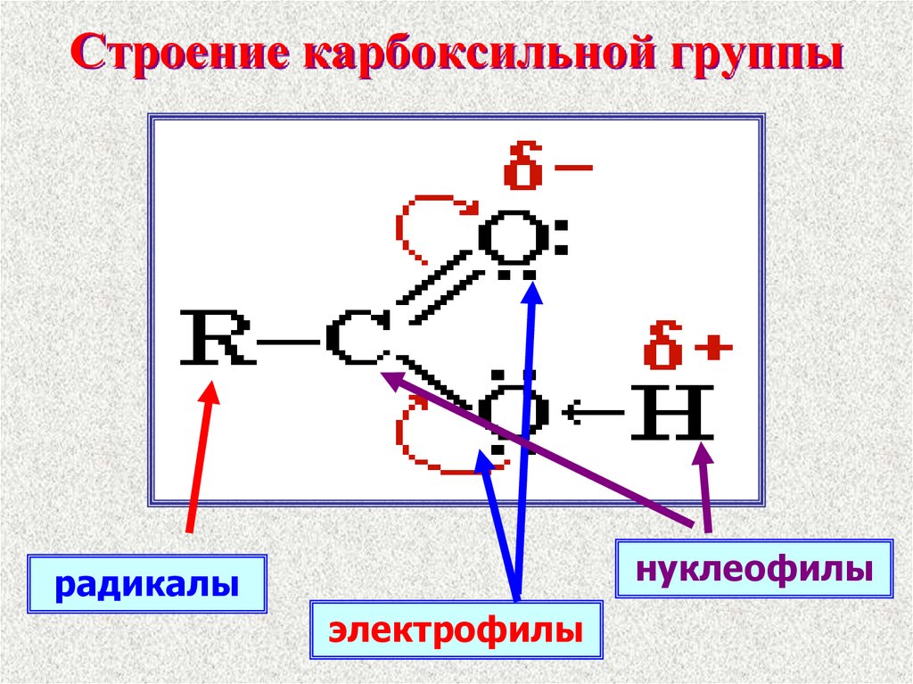 Общая формула карбоксильной группы. Строение карбоксильной группы. Электронное строение карбоксильной группы. Нуклеофил и электрофил. Приведите электронное строение карбоксильной группы.