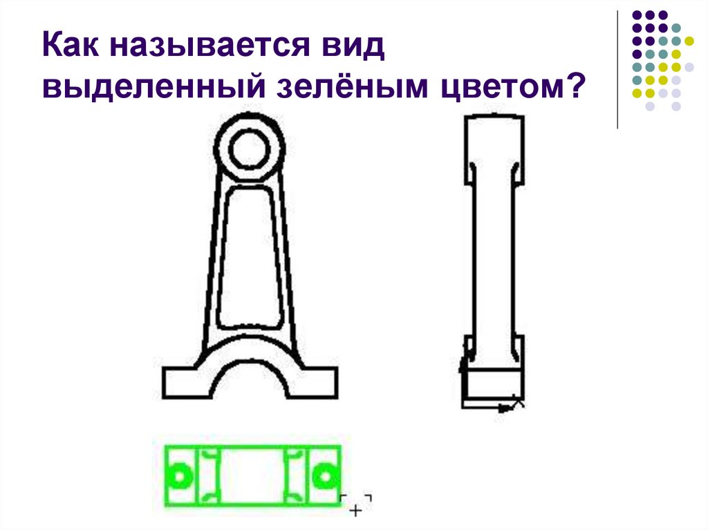 Как называется вид выделенный зелёным цветом?