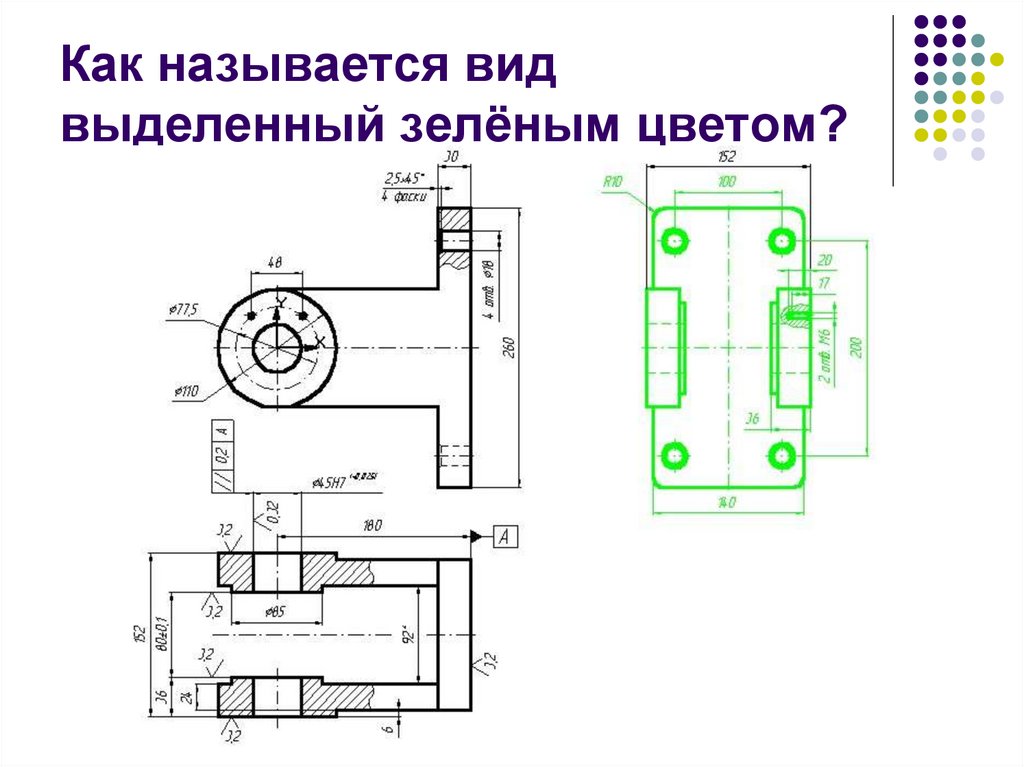 Как называется вид выделенный зелёным цветом?