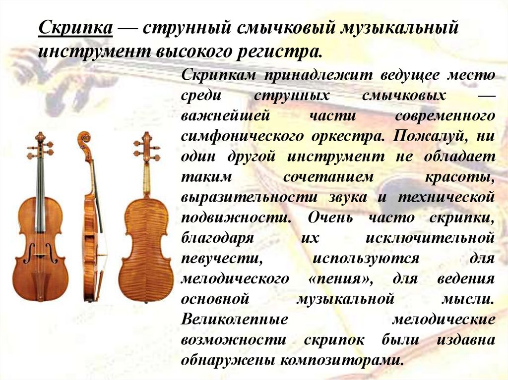 Русский язык 8 класс скрипка. Скрипка струнные смычковые музыкальные инструменты. Сообщение о музыкальном инструменте. История скрипки. Информация о скрипке.