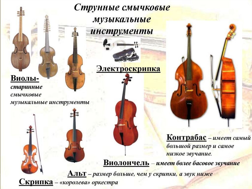 Струнные инструменты презентация