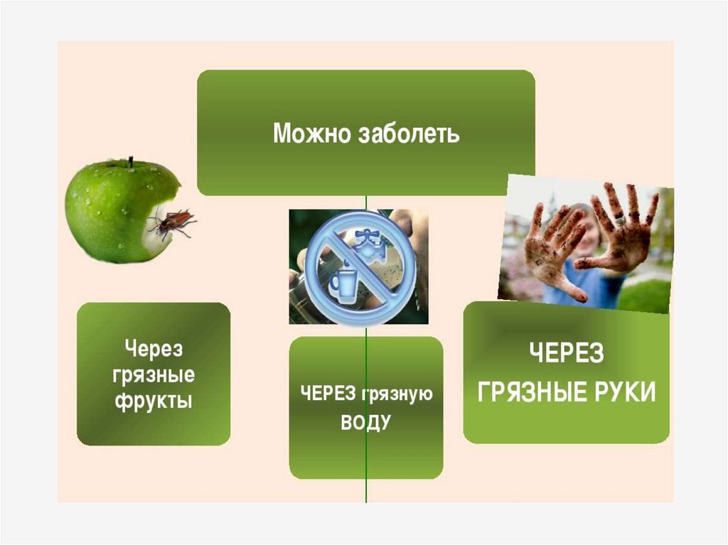 Консервы гигиена питания презентация