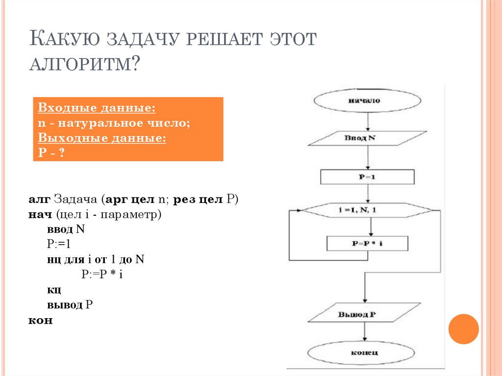 Алгоритм ответы