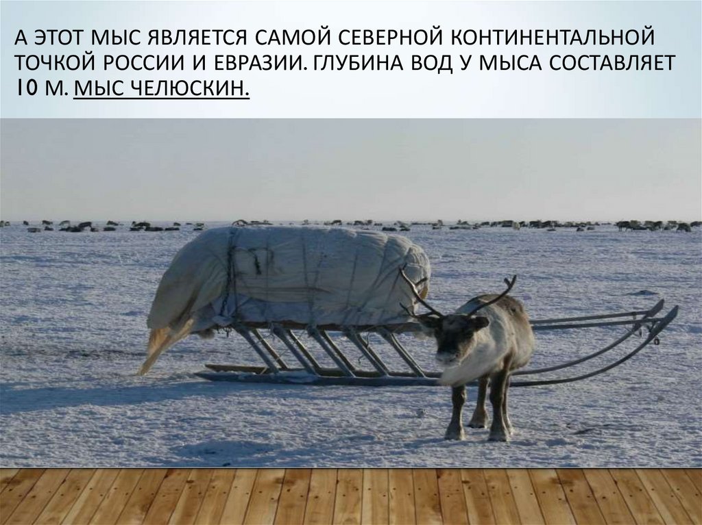А этот мыс является самой северной континентальной точкой России и Евразии. Глубина вод у мыса составляет 10 м. Мыс Челюскин.