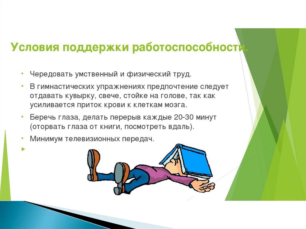 Функциональная активность человека и взаимосвязь физической и умственной деятельности проект