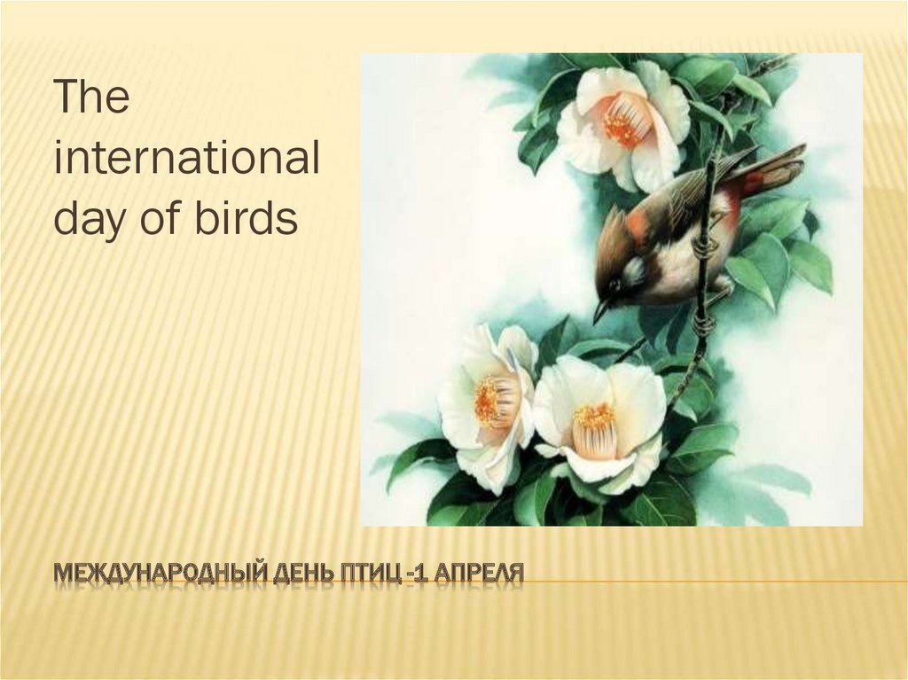 Международный день птиц -1 апреля