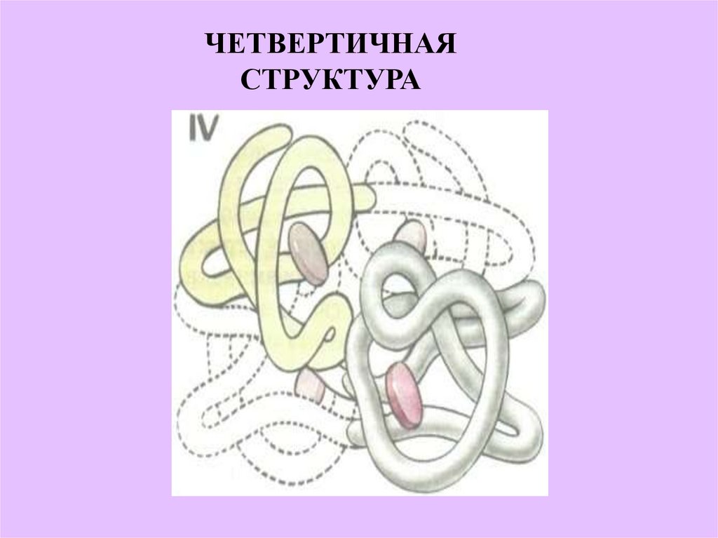 Четвертичная структура