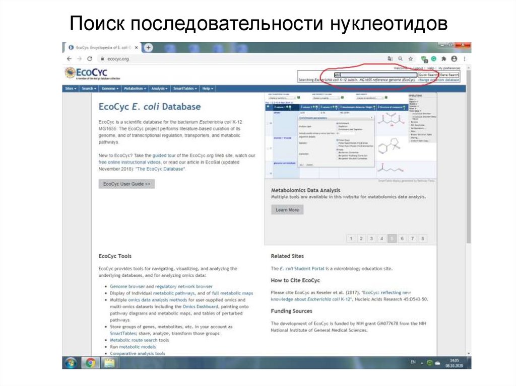 Поиск последовательности нуклеотидов