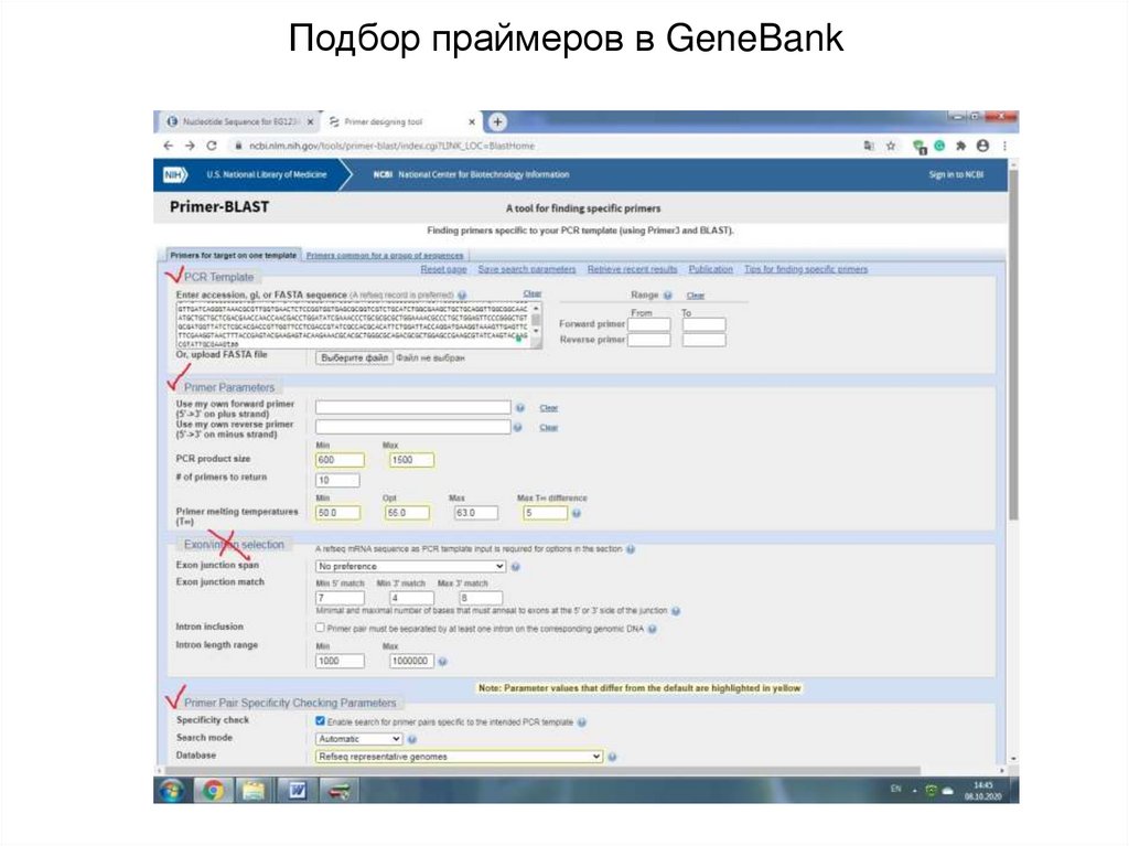 Подбор праймеров в GeneBank