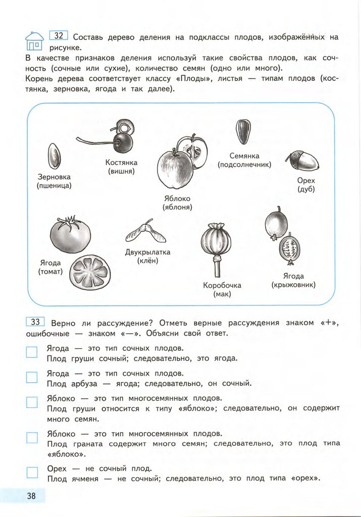 Учебник информатике 4 класс паутова. Составь дерево деления на подклассы плодов. Составь дерево деления на подклассы плодов изображенных на рисунке. Дерево деления на подклассы плодов Информатика 4 класс. Описание свойств Информатика 4 класс.