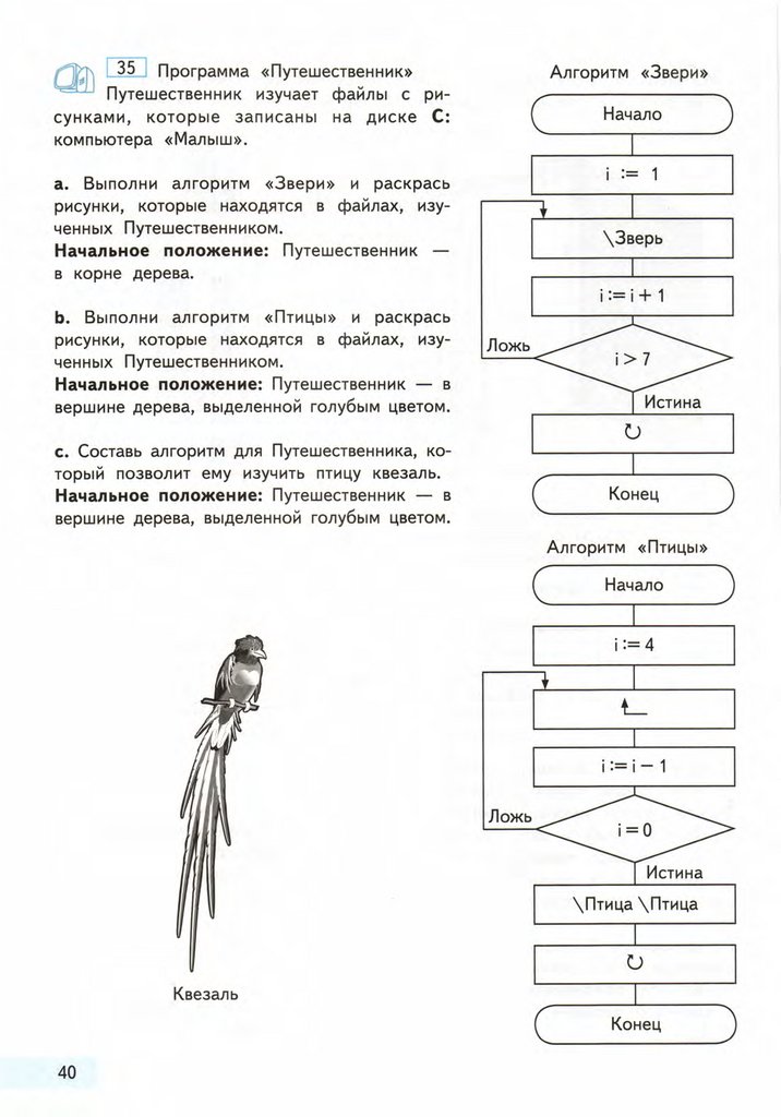 Следуя алгоритму. Алгоритм путешественника. Путешественник Информатика 4 класс. Составь алгоритм для путешественника. Алгоритм птицы.