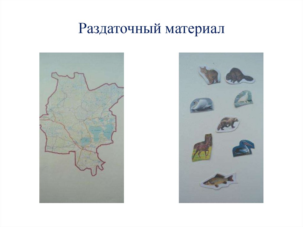 Раздаточный материал