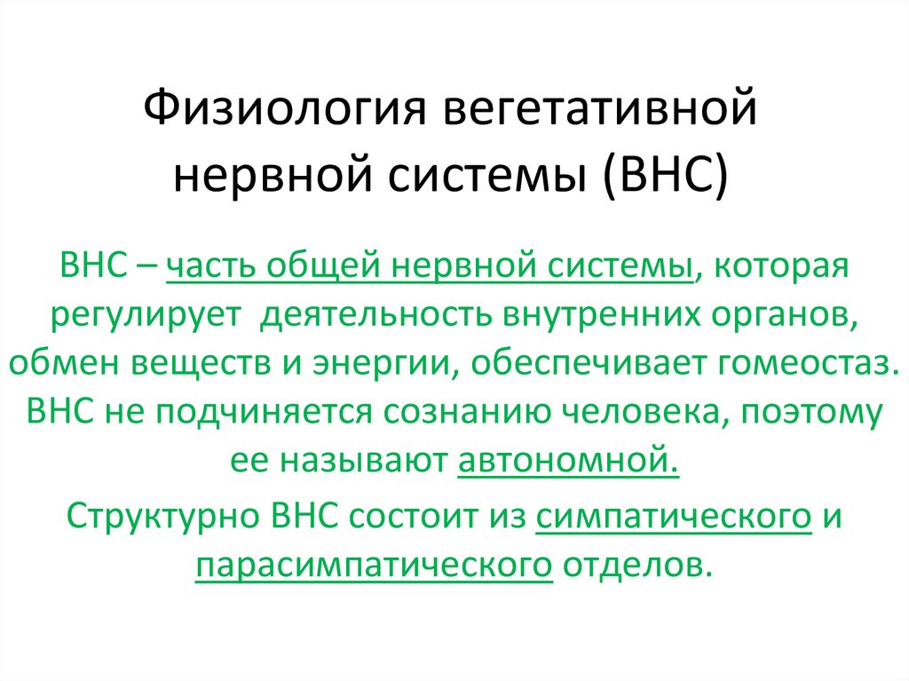 Физиология вегетативных функций