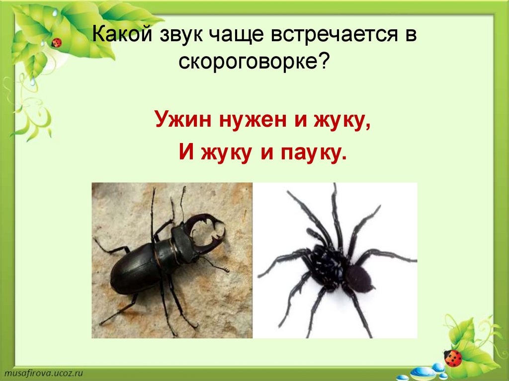 Звук чаще