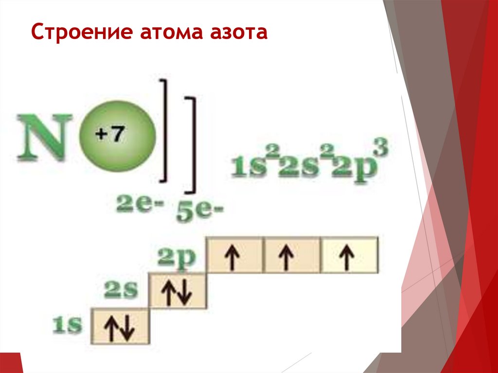 Электронное соединение атома азота. Формула состава атома азота. Схема электронного строения атома азота. Схема строения электронной оболочки атома азота. Строение электронной оболочки азота.
