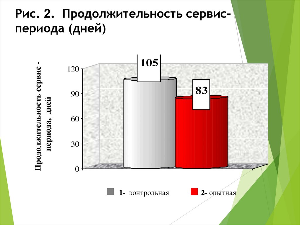 Сухостойный период у коров это