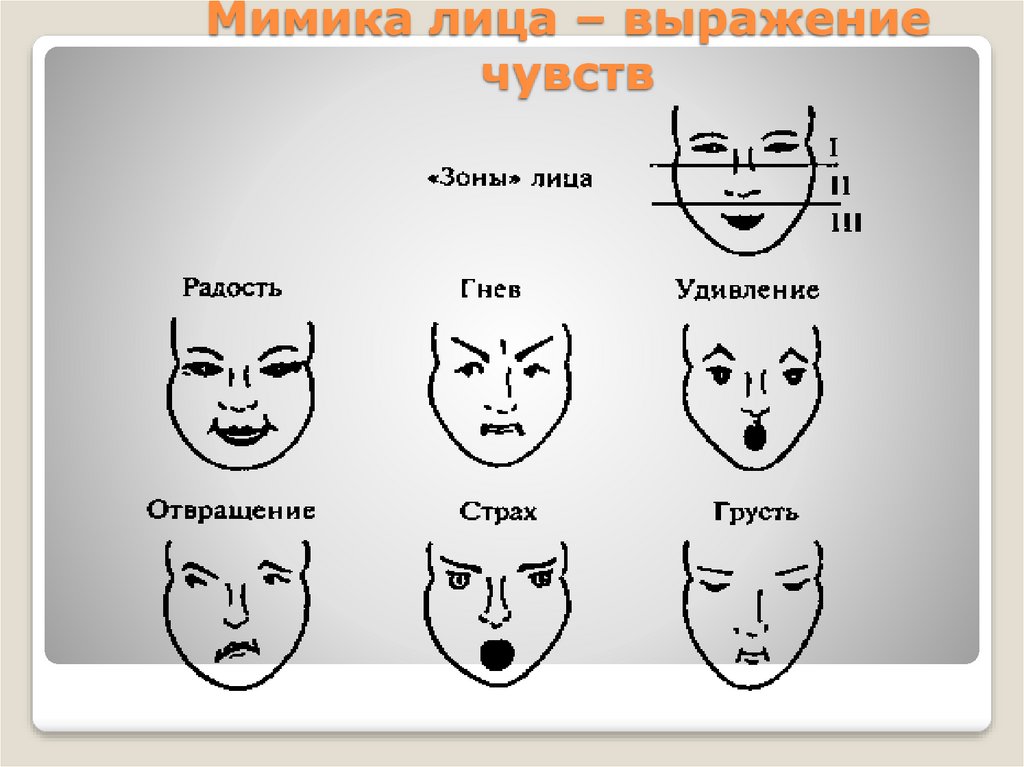 Выражение характера человека в изображении мужской образ