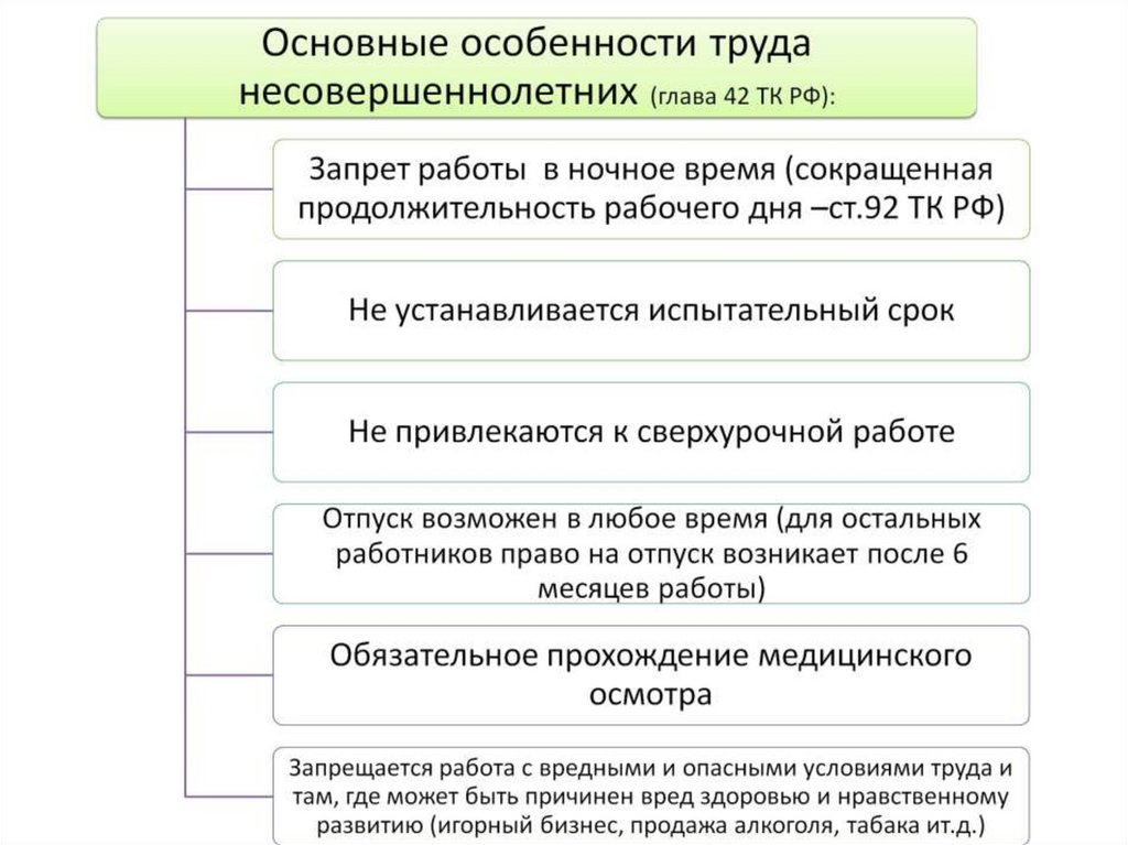 Правовой статус несовершеннолетних план егэ обществознание