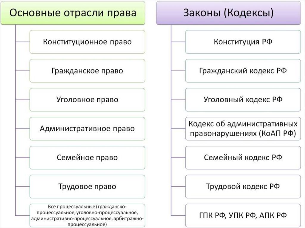 Избранное право. Принципы права Обществознание. Право Обществознание ЕГЭ. Разделы ЕГЭ по обществознанию. Функции права ЕГЭ Обществознание.