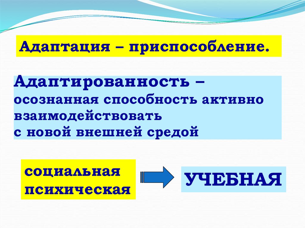 Адаптация пятиклассников к новым условиям обучения. Адаптация компьютерной модели это:.