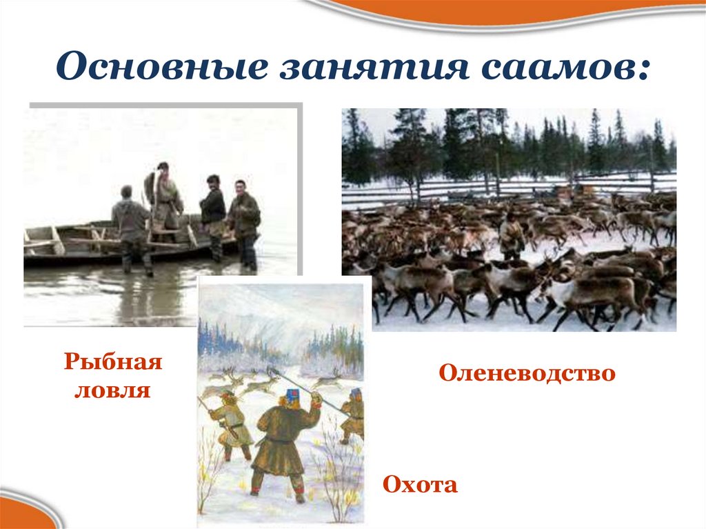 Основные занятия саамов: