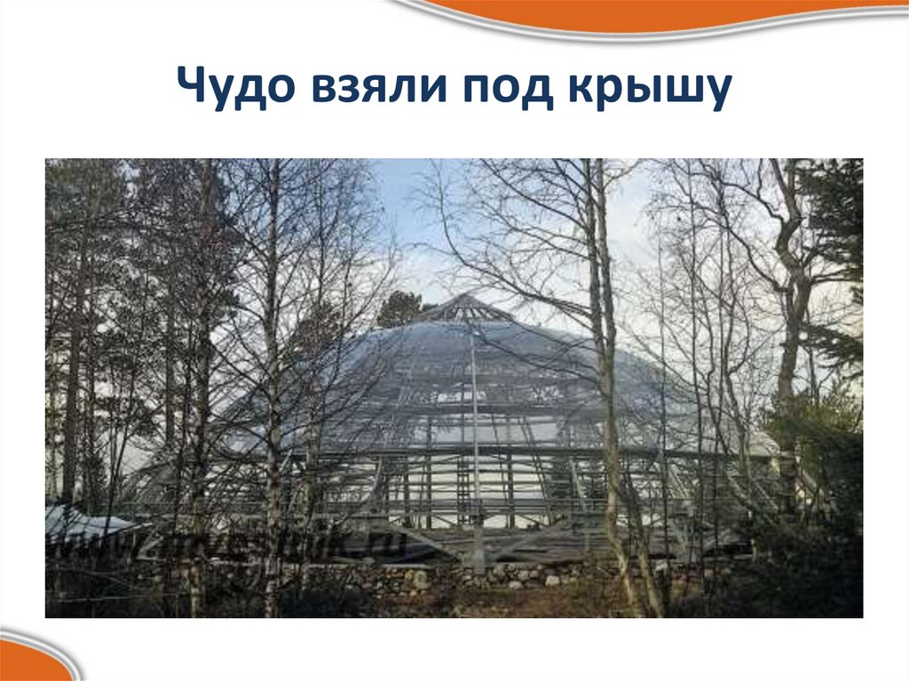 Чудо взяли под крышу