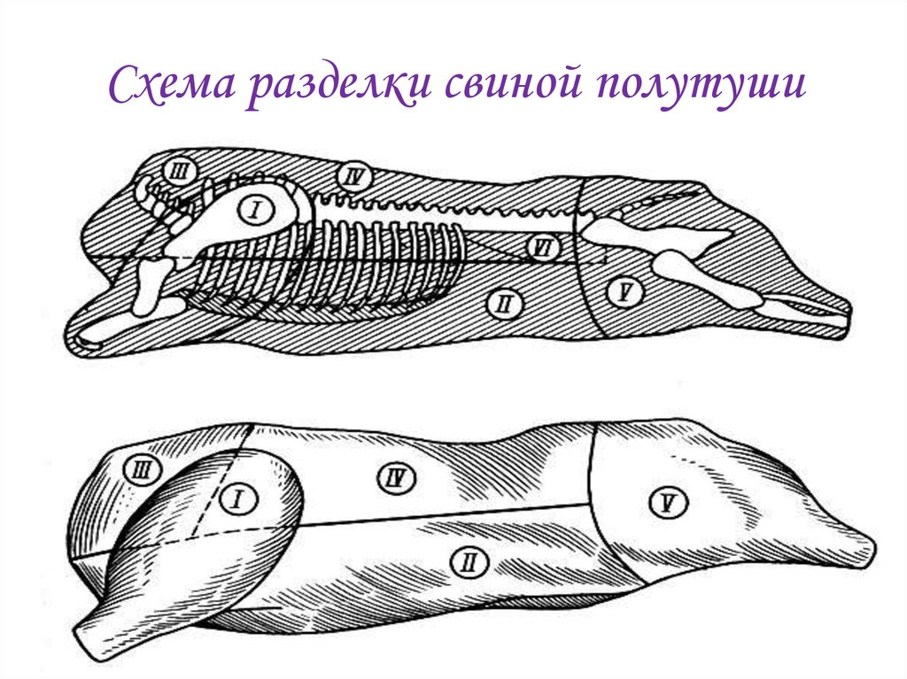 Схема разделки бараньей полутуши