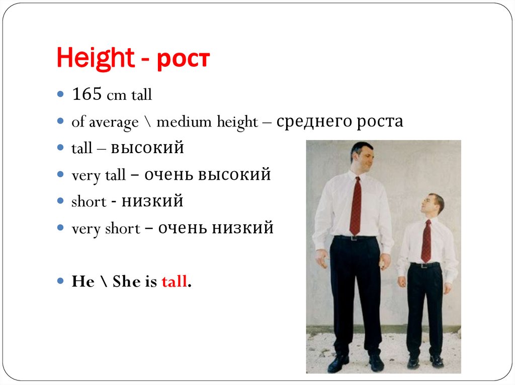 Tall перевод с английского. Tall перевод. High Tall упражнения. Tall short Medium height. Tall Taller the Tallest.