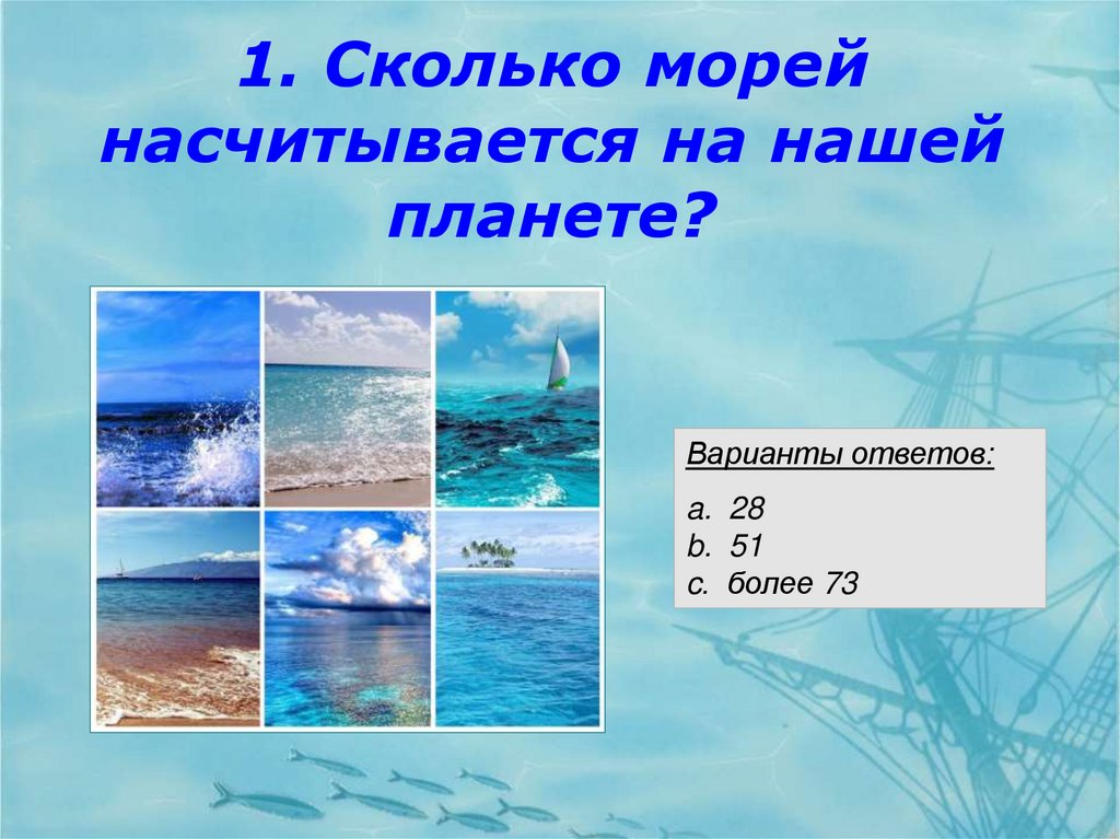 Количество морей. Сколько морей. Сколько всего морей. Сколько морей на нашей планете. Моря сколько их.