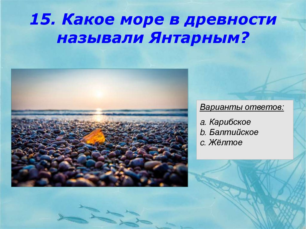 15. Какое море в древности называли Янтарным?