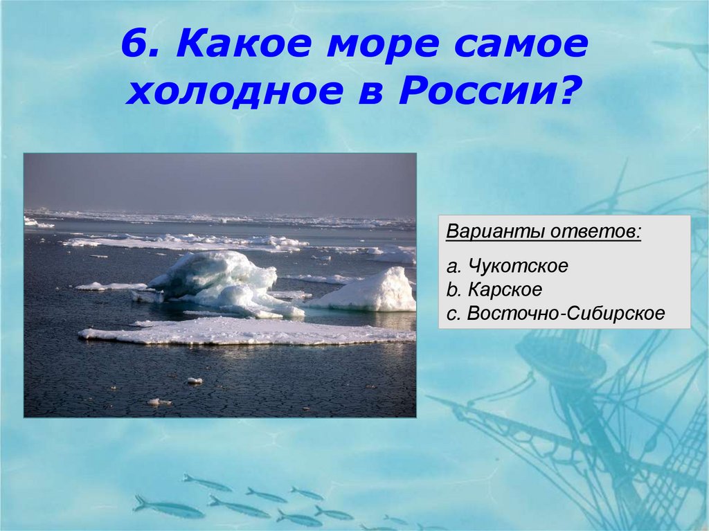 Вопрос какое море. Какое из морей самое Холодное. Какое море самое. Моря какого океана самые холодные. Викторина ко Дню моря.